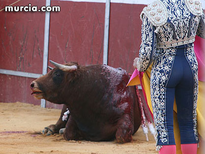 Ecologistas en Acción muestra su rechazo a las corridas de toros de la feria de Murcia - 1, Foto 1
