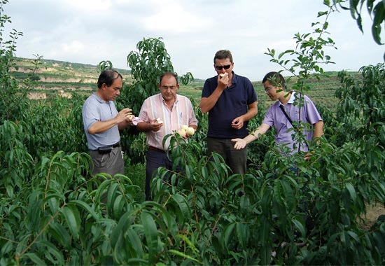 Agricultura firma un convenio con la Academia China de Gansu para la mejora genética del melocotón - 1, Foto 1