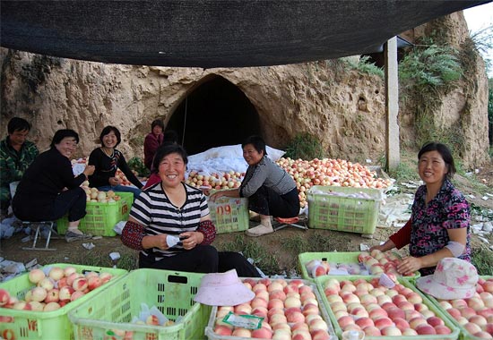 Agricultura firma un convenio con la Academia China de Gansu para la mejora genética del melocotón - 2, Foto 2