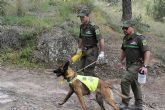 Agricultura ampla la Unidad Canina para garantizar la ausencia de venenos en los montes de la Regin