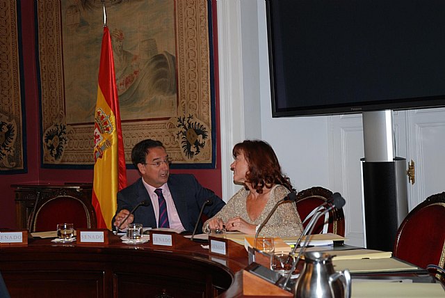 El consejero de Política Social con la presidenta de la Comisión Especial de Estudios de la problemática de la adopción y otros temas afines, María Teresa del Carmen Camacho Vázquez, durante su comparecencia en el Senado / CARM, Foto 1