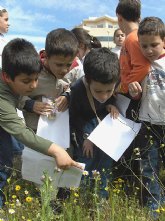 Taller para que los ms pequeños se inicien en la botnica