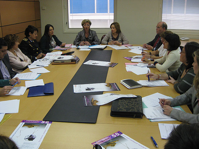 La Comisión de Seguimiento sobre Violencia de Género felicita al Ayuntamiento por el programa de prevención que desarrolla en los centros educativos - 1, Foto 1