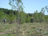 La Consejería de Agricultura presenta un proyecto para desarrollar el uso de la biomasa forestal como fuente de energía renovable