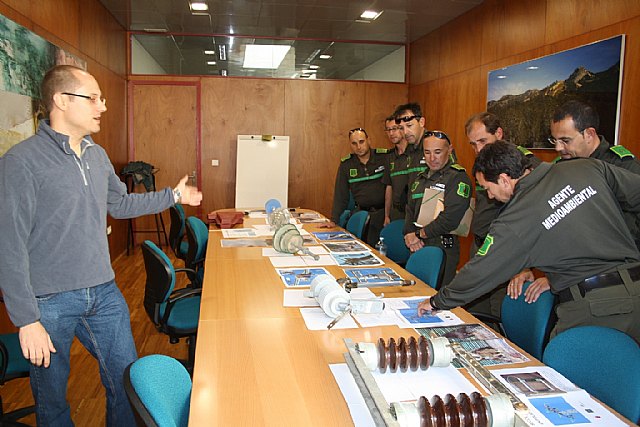 Agricultura forma a agentes medioambientales y del Seprona en materia de líneas eléctricas aéreas y protección de la avifauna - 1, Foto 1