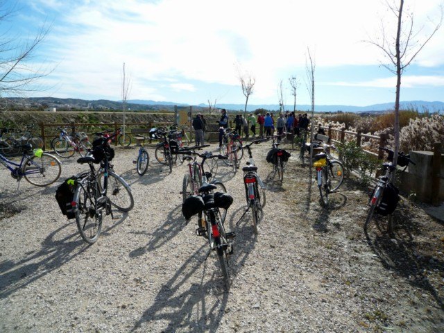 La Asociación  ‘Murcia en bici’ visita Alguazas - 2, Foto 2