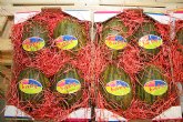 Los melones de Procomel podrn degustarse en la prxima edicin de ‘Fruit Logistica’