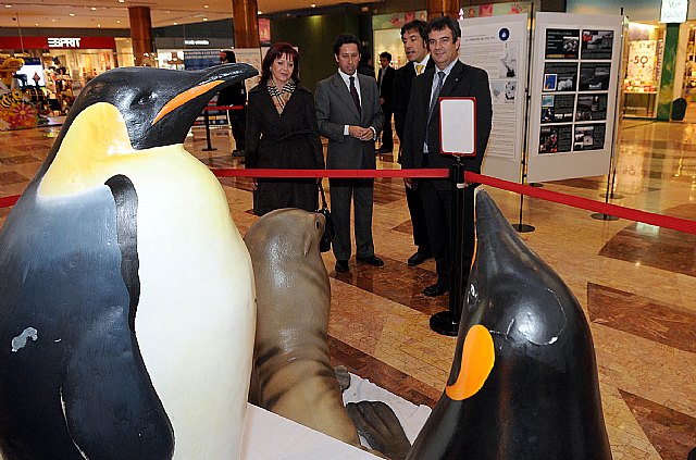 La Universidad de Murcia organiza una exposición sobre la investigación en la Antártida - 2, Foto 2