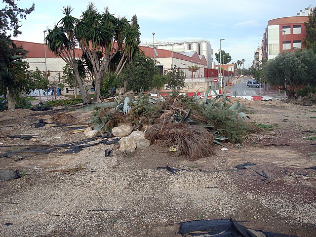 PSOE: Talan 30 árboles más en Espinardo por las obras del tranvía - 2, Foto 2