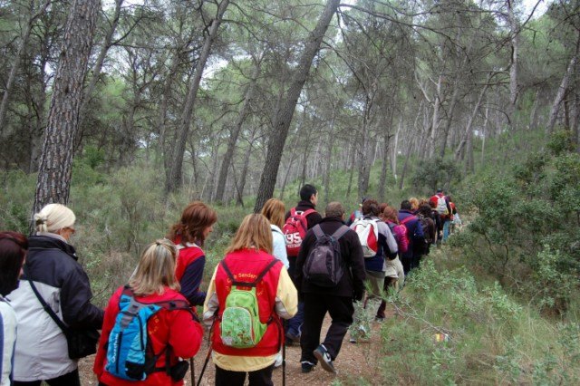 El Ayuntamiento de Alguazas organiza ‘Paseos Saludables Nocturnos’ - 1, Foto 1