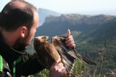 Agricultura libera un ejemplar de aguililla calzada tras ser curada en el Centro de Recuperacin de Fauna Silvestre ‘El Valle’