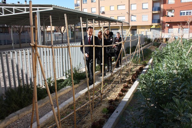 El mantenimiento de un huerto ecológico otorga al colegio Infanta Cristina de Puente Tocinos su galardón como Escuela Verde - 2, Foto 2