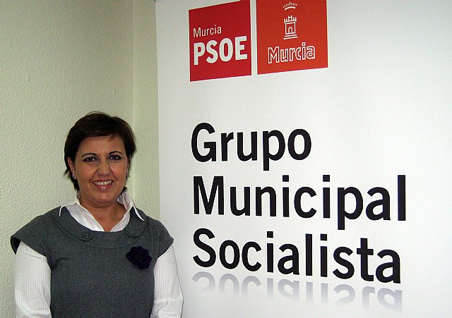 El PSOE exige a Cámara que abandone las tretas partidistas - 1, Foto 1