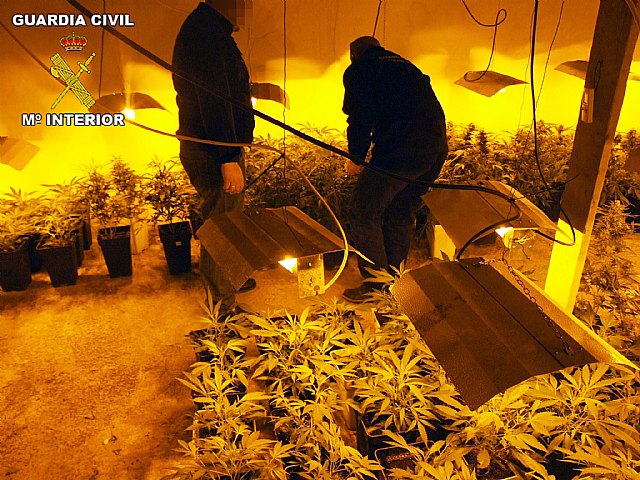 La Guardia Civil desmantela tres puntos de producción y distribución de marihuana en las comarcas de la Vega Media y Alta - 1, Foto 1