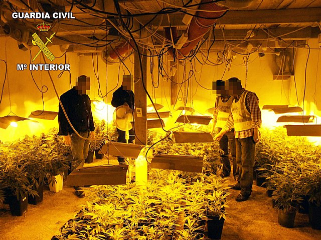 La Guardia Civil desmantela tres puntos de producción y distribución de marihuana en las comarcas de la Vega Media y Alta - 2, Foto 2