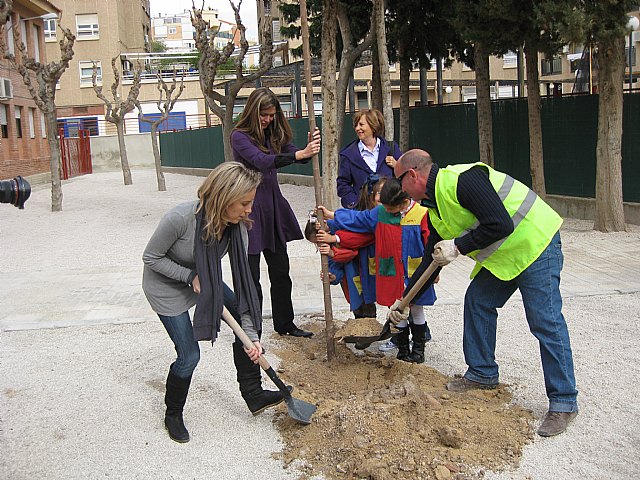 Árboles para el colegio Fernández Caballero - 2, Foto 2