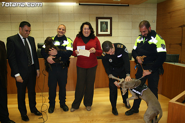 La unidad canina antidroga de la Polica Local de Totana se refuerza con la incorporacin de una hembra de labrador - 29