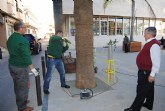 La concejala de Parques y Jardines prueba un nuevo sistema contra el picudo en palmeras
