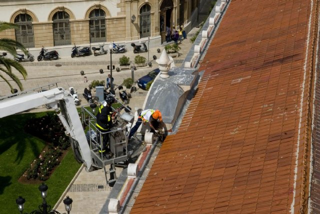 Los bomberos retiran tres nidos de gaviota del Palacio Consistorial - 5, Foto 5