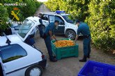 La Guardia Civil desarticula un grupo organizado dedicado a la sustraccin de fruta