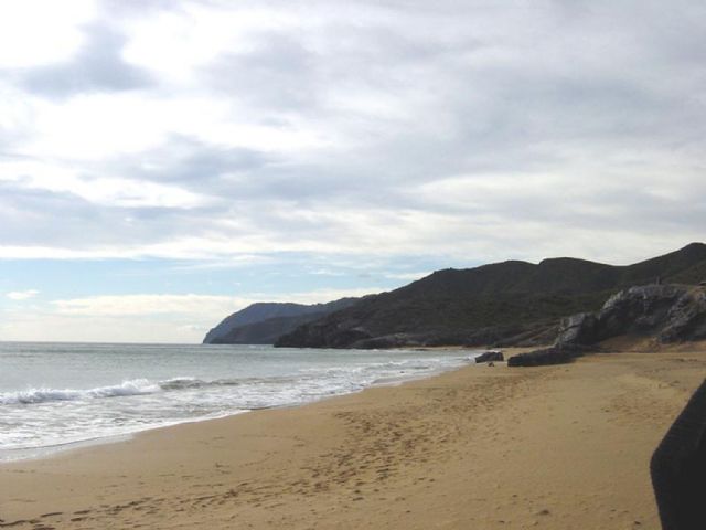 Voluntariado ambiental en Calblanque - 1, Foto 1