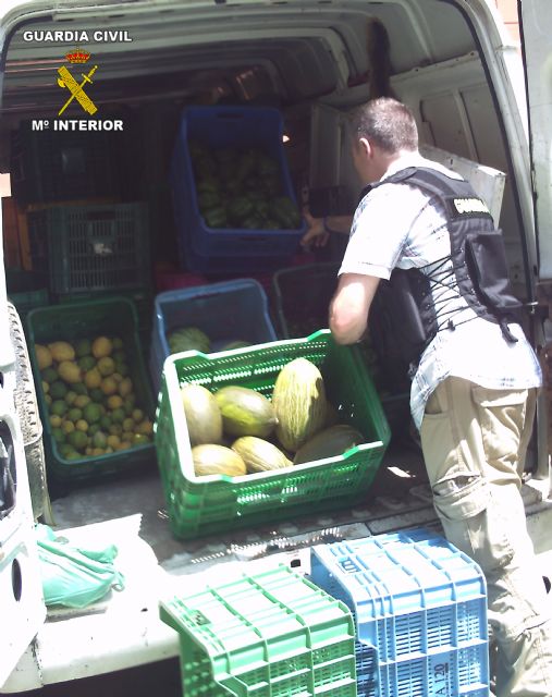 La Guardia Civil detiene a dos personas con gran cantidad de fruta sustraída - 1, Foto 1