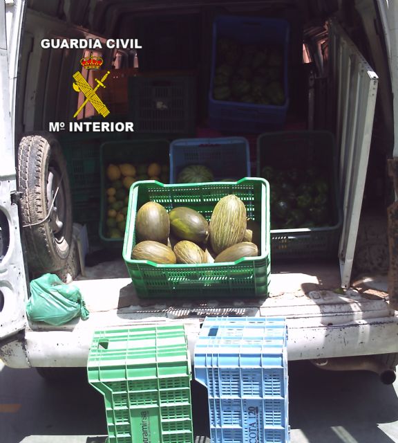 La Guardia Civil detiene a dos personas con gran cantidad de fruta sustraída - 2, Foto 2