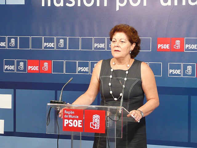 El PSOE considera muy preocupante la continua caída en picado de inversiones de Valcárcel - 1, Foto 1