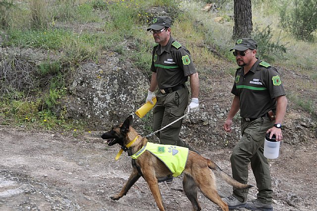 Dos agentes medioambientales realizan el rastreo de cebos envenenados con un perro adiestrado, Foto 1