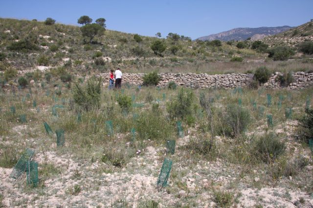 Molina de Segura, mirador científico hacia la biodiversidad - 1, Foto 1