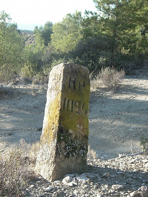 El ayuntamiento de Abarán insiste en descatalogar monte público de la Sierra de la Pila - 1, Foto 1