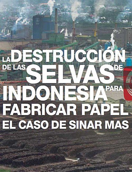 Un informe de Greenpeace revela vínculos del gobierno murciano con la deforestación en Indonesia - 1, Foto 1