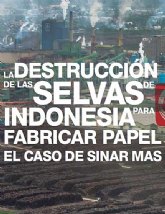 Un informe de Greenpeace revela 'vnculos del gobierno murciano con la deforestacin en Indonesia'