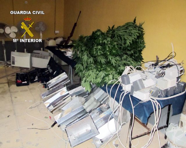 La Guardia Civil desmantela un punto de producción de marihuana en Librilla - 5, Foto 5