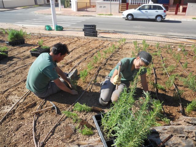 La unidad de jardinería de la Escuela Taller Molino Quintín trabaja en la remodelación del Parque José Antonio Pérez Henarejos - 1, Foto 1