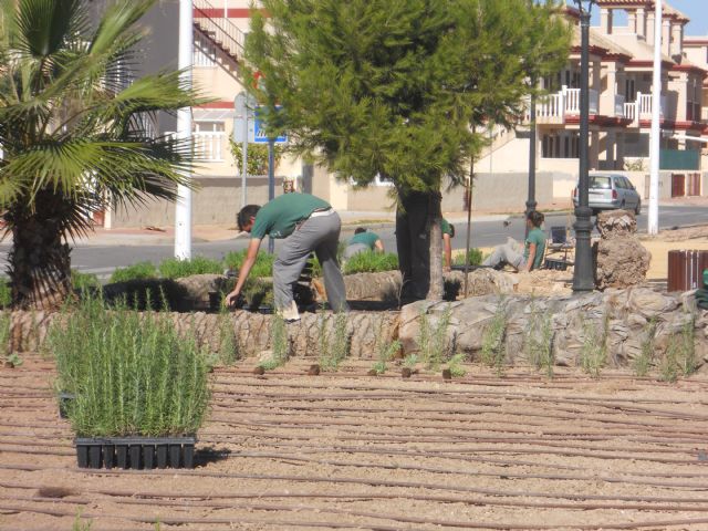 La unidad de jardinería de la Escuela Taller Molino Quintín trabaja en la remodelación del Parque José Antonio Pérez Henarejos - 2, Foto 2