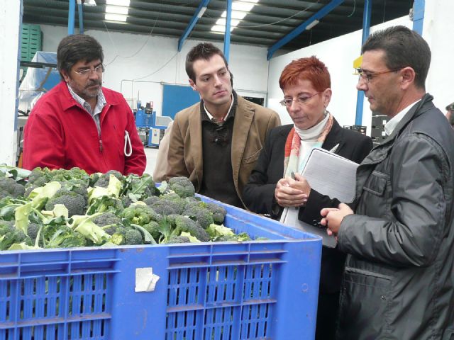 Los comerciantes de Cehegín sienten que el comercio minorista es el hermano pobre - 3, Foto 3