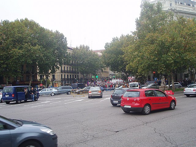 Un grupo de totaneros particip en la manifestacin a favor de Shara - 13