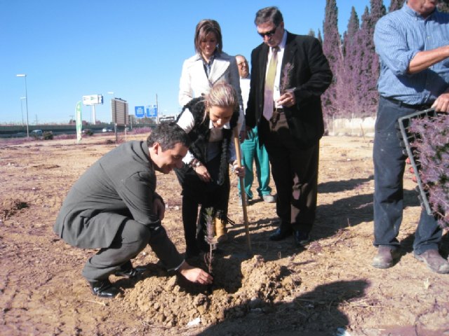 El Festival Estrella de Levante SOS 4.8 planta 192 árboles para compensar las emisiones generadas durante su celebración - 1, Foto 1