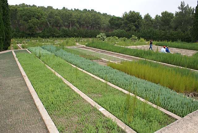 Agricultura moderniza los viveros forestales para hacerlos más eficientes, productivos y sostenibles - 1, Foto 1