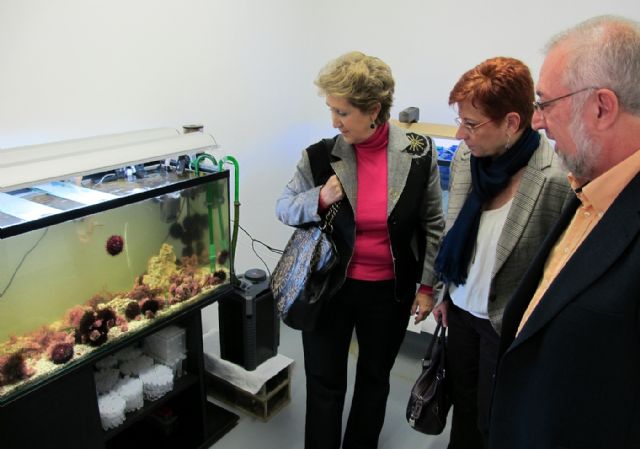 Begoña García Retegui destaca el trabajo del laboratorio de investigación en la futura regeneración de la Bahía de Portmán - 1, Foto 1