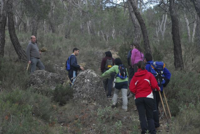 Cerca de 60 voluntarios reforestaron Santa Ana con pinos, encinas y acebuches - 1, Foto 1