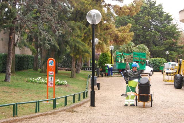 El ayuntamiento retira tres casuarinas del parque municipal Marcos Ortíz, Foto 1
