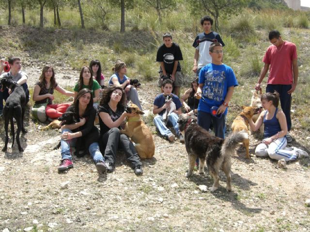 La asociación 4 patas de Jumilla pone en marcha la campaña ´Apadrina un ladrido´ - 1, Foto 1