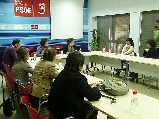 Begoña García Retegui acusa al Gobierno regional de haber desmantelado la estructura de las políticas de igualdad - 1, Foto 1