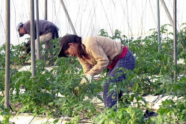 ASAJA Murcia felicita la ´´gran labor´´ que realiza la mujer rural en el sector agroalimentario murciano - 1, Foto 1