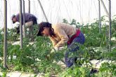 ASAJA Murcia felicita la gran labor que realiza la mujer rural en el sector agroalimentario murciano