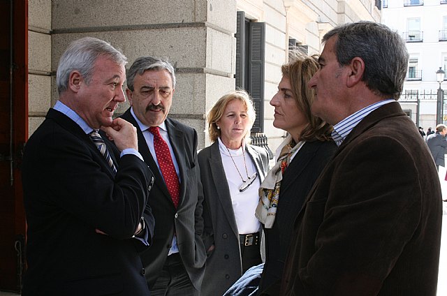 El presidente presiona en el Congreso de los Diputados, con los productores, para que no se eliminen las primas al sector fotovoaltaico - 1, Foto 1