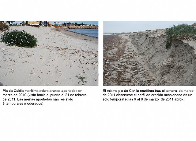 ANSE pide medidas urgentes para frenar la destrucción de la playa y dunas de la llana - 1, Foto 1