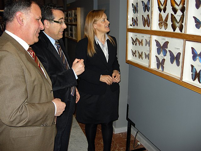 La Comunidad invierte cerca de 200.000 euros en la rehabilitación del Museo Jerónimo Molina de Jumilla - 2, Foto 2